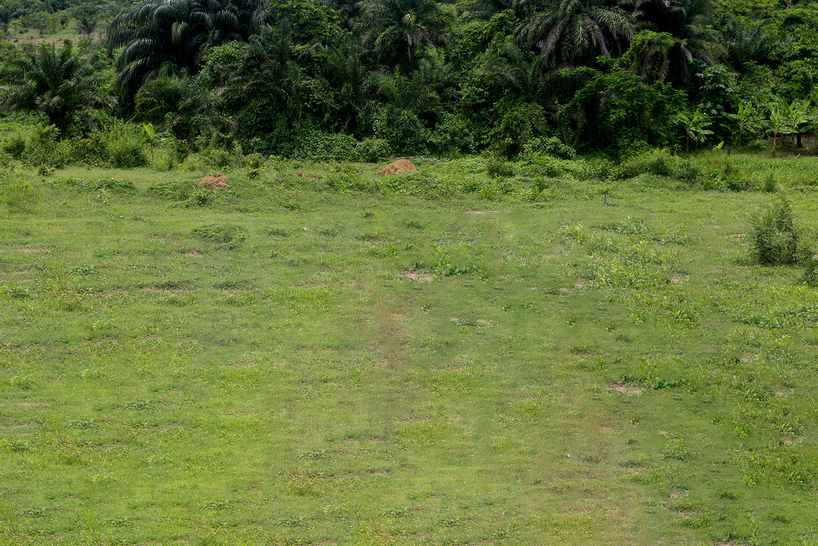 5 Things to Know Before Buying Land in Nigeria